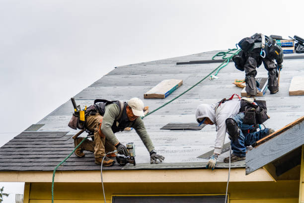 Professional Roofing technician working in Russellville, AR